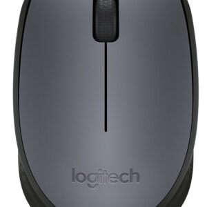 Logitech M170