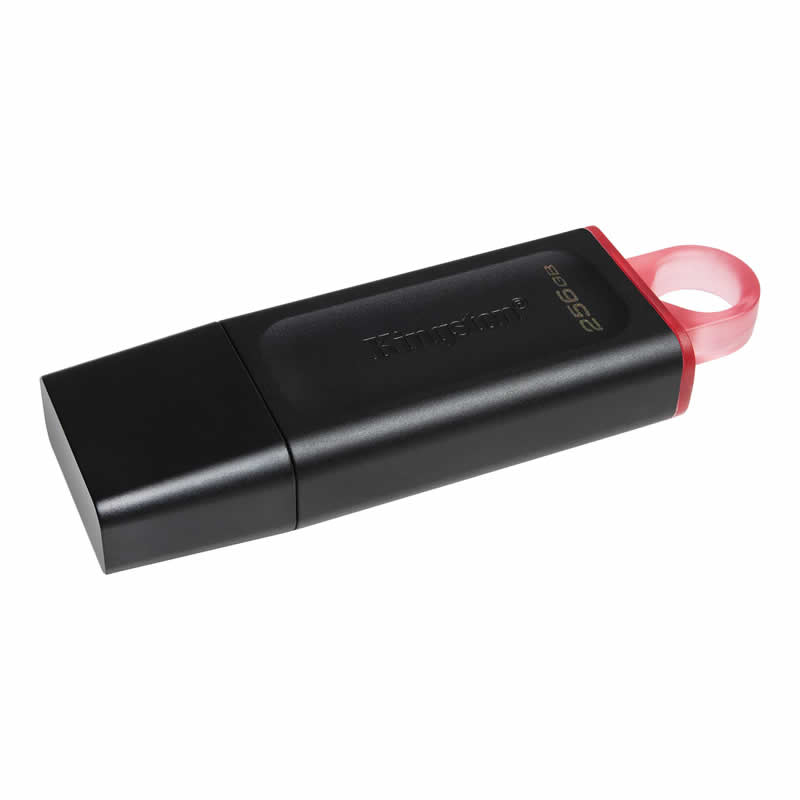 Kingston USB 256GB DTX/256GB - Slika 2