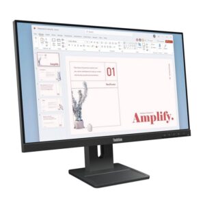 Lenovo ThinkVision E24-40 (64BAMAT1EU)