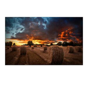 Samsung LH55VMBUBGBXEN